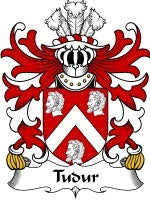 Tudur coat of arms family crest download